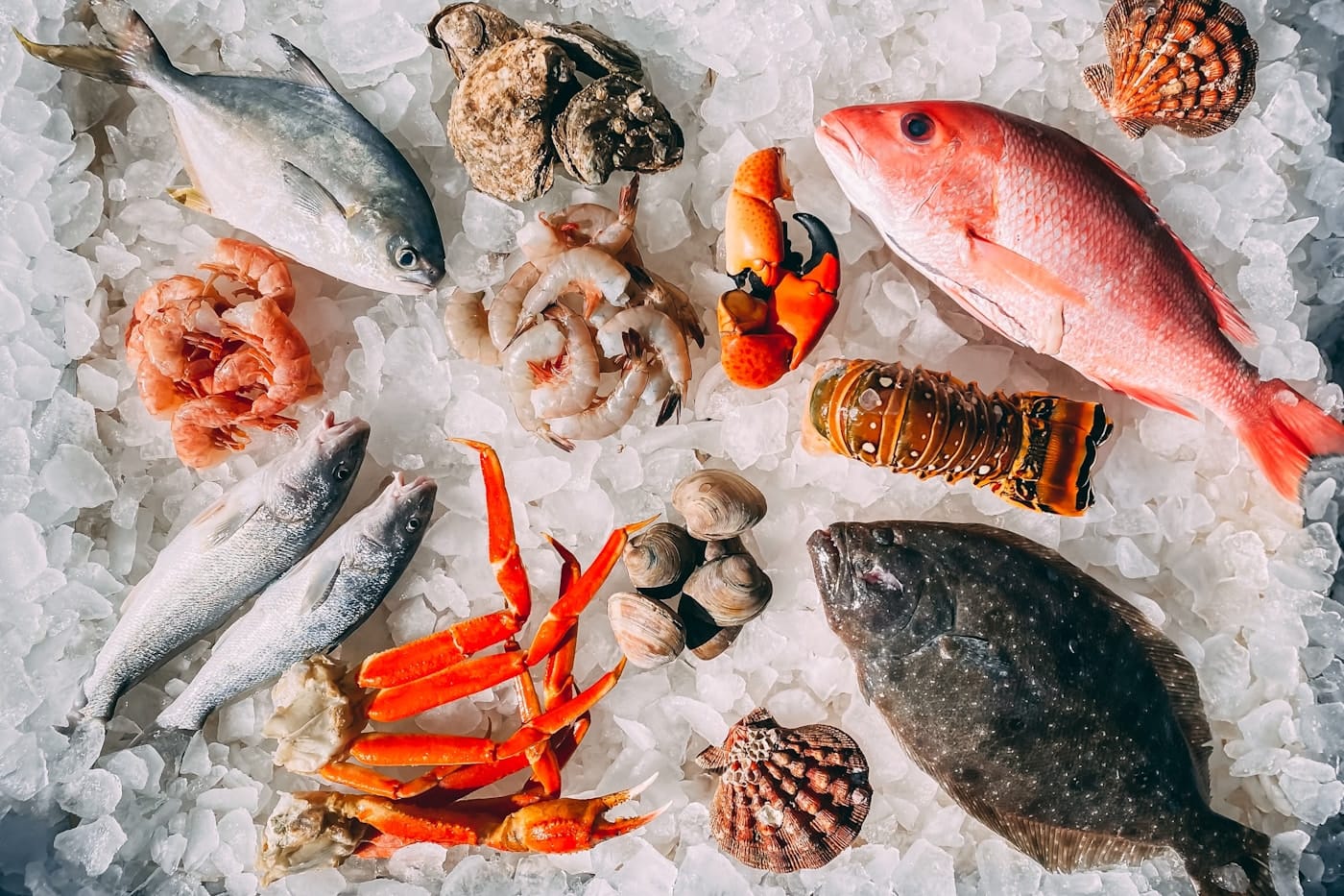 Fresh whole fish and shellfish on ice